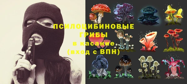амфетамин Елизово